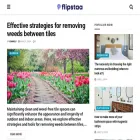 flipstaa.com