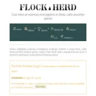 flockandherd.net.au