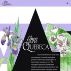 floraquebeca.qc.ca