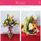 floreriadgrace.com