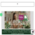 floresdemayoreo.com.mx