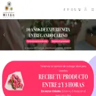 floresmilan.cl