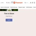 flowerpot.ua