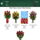 flowersnmoretexas.com