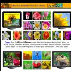 flowersvg.com