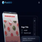 fluidseo.app