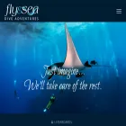 flyandsea.com