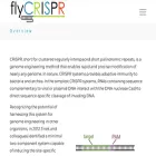 flycrispr.org
