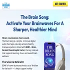 forbrainsong.com