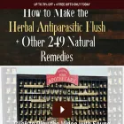 forgottenhomeapothecary.com