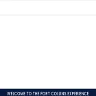 fortcollinscolorado.com