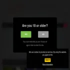 fortnitehentai.com