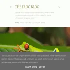frogblog.ie