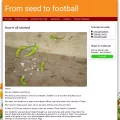 fromseedtofootball.simplesite.com