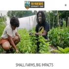 fruitguyscommunityfund.org