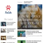 funcatz.com