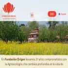 fundacionorigen.cl