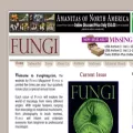 fungimag.com
