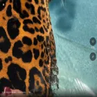 funnyanimalsclub.com
