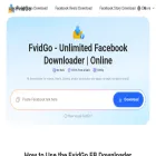 fvidgo.com