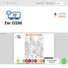 fwgsm.com