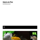 galeriadopet.com.br