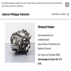 galeriechezvalentin.com