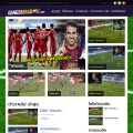 gangzaabaaball.com