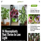 gardeningsouls.com