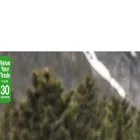 garnersmotorsports.com