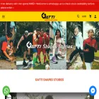 gattionline.net