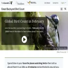 gbbc.birdcount.org