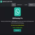 gbwhatspro.com