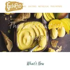 gelarto.com