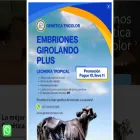 geneticatricolor.com