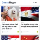 geniusblogger.com