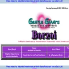 gentlegiantsrescue-borzoi.com