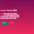 getv2rayng.com