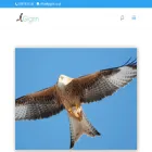 gigrin.uk