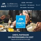 gineys.com
