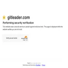 gitleader.com