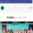 globalhayyu.com