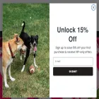 glowpups.com