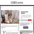 gmo.news