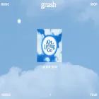 gnash.us