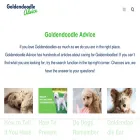 goldendoodleadvice.com
