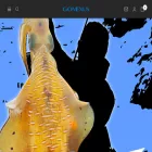 gomexus.jp