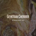 gontran-cherrier.com