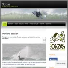 gonzas.com
