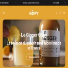gopy.fr